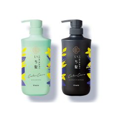 ICHIKAMI MẪU MỚI